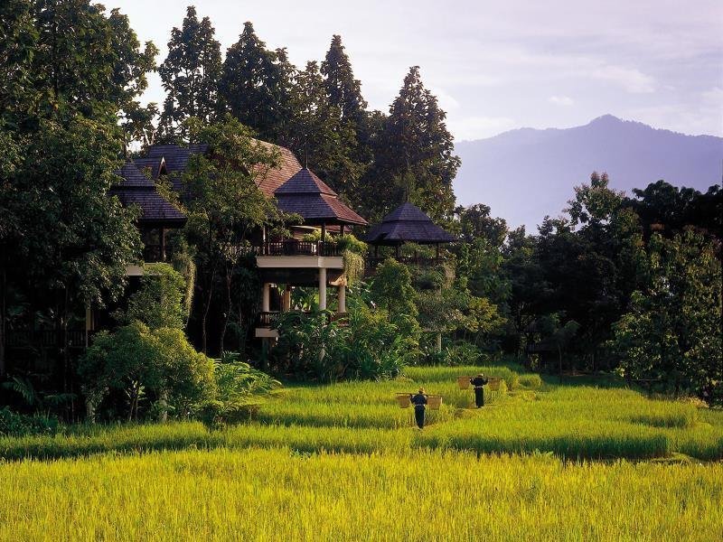 Landscaped rice fields and mountain backdrop at Four Seasons Resort Chiang Mai