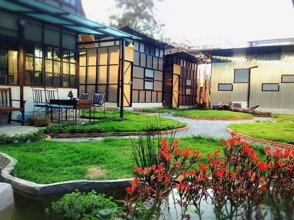 Viva Shack garden courtyard